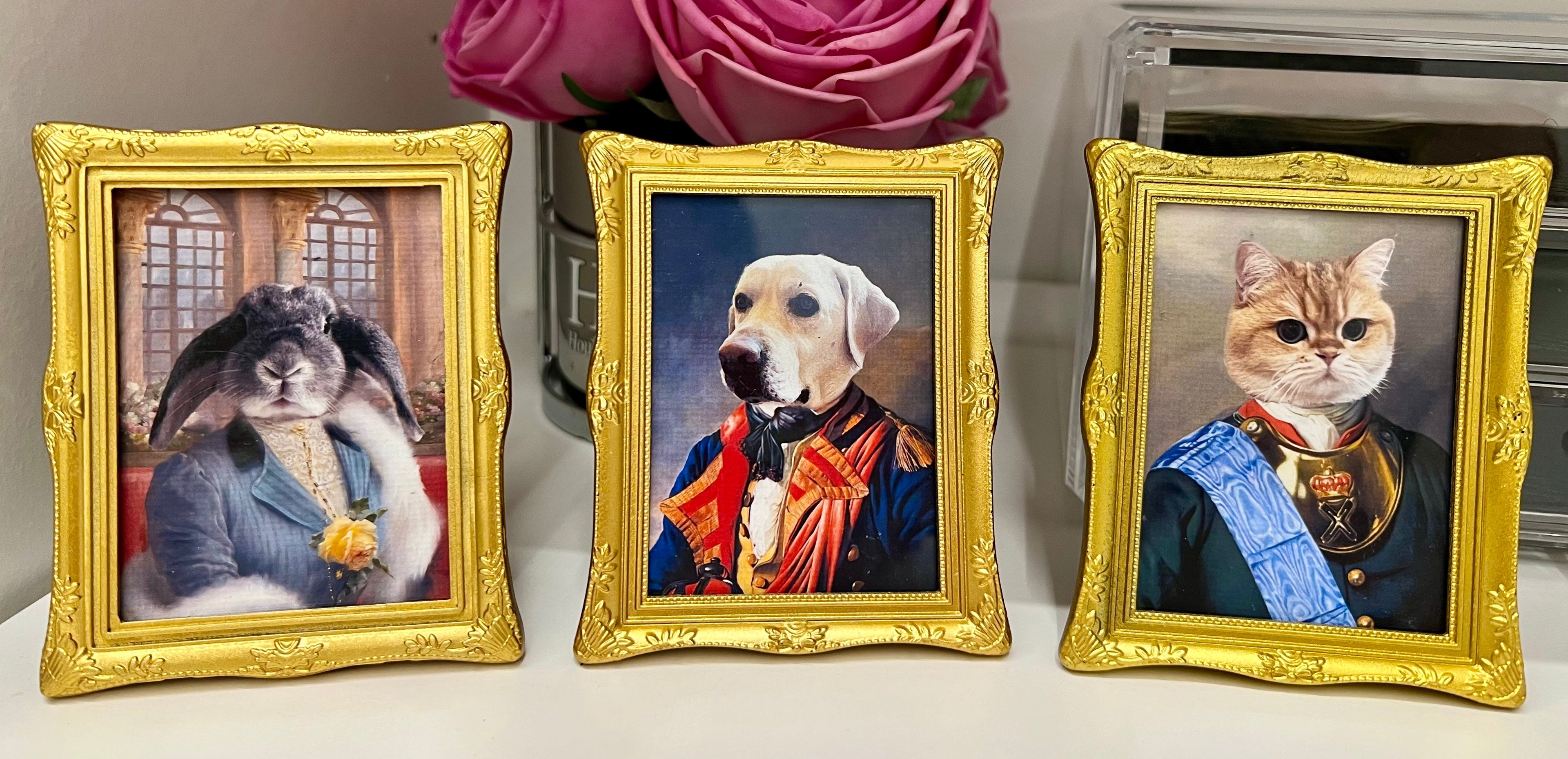 Imanes Personalizados de Mascotas